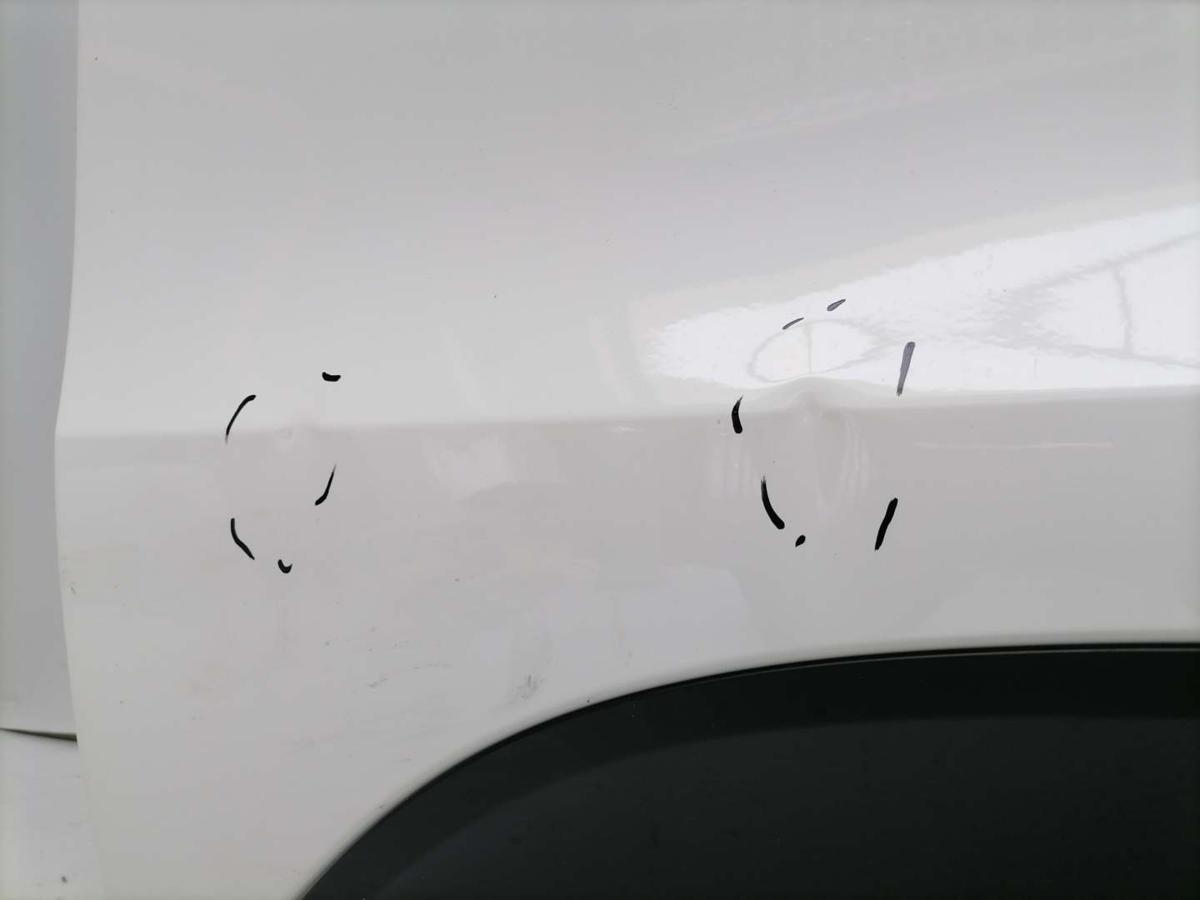 Porsche Macan original T&uuml;r vorn links Rohbau mehrere kleine Besch&auml;digungen Bj.2015